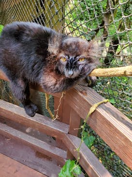 長崎バイオパークに投稿された画像（2023/8/20）