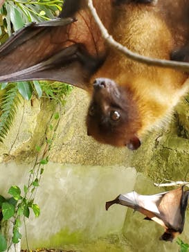 長崎バイオパークに投稿された画像（2023/8/20）