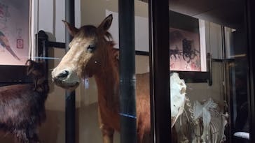 国立科学博物館に投稿された画像（2023/8/20）