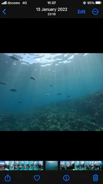 武藤潜水に投稿された画像（2023/8/20）