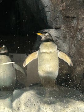 名古屋港水族館に投稿された画像（2023/8/20）
