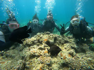 武藤潜水に投稿された画像（2023/8/20）