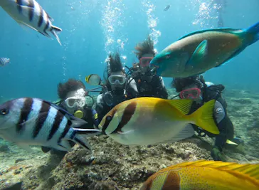 武藤潜水に投稿された画像（2023/8/20）