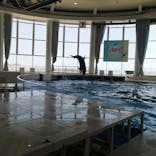 アクアワールド茨城県大洗水族館に投稿された画像（2023/8/20）