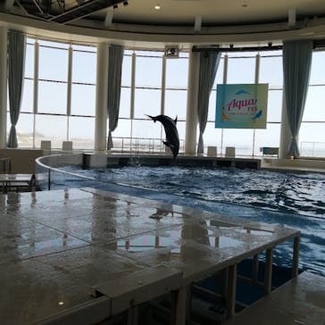 アクアワールド茨城県大洗水族館に投稿された画像（2023/8/20）