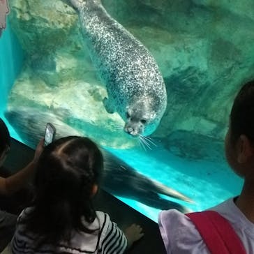 アクアワールド茨城県大洗水族館に投稿された画像（2023/8/20）