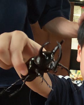 JOYPOLIS 特別イベントスペースに投稿された画像（2023/8/20）