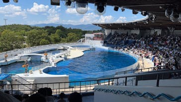 京都水族館に投稿された画像（2023/8/20）