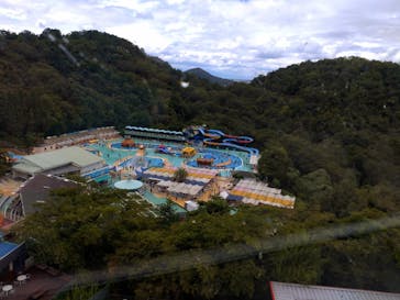 日本モンキーパークに投稿された画像（2023/8/20）