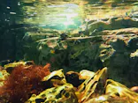 名古屋港水族館に投稿された画像（2023/8/20）