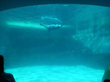 名古屋港水族館に投稿された画像（2023/8/20）
