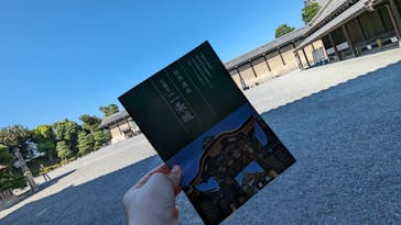 元離宮二条城に投稿された画像（2023/8/20）