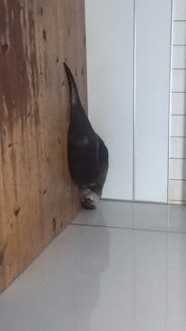 箱根園水族館に投稿された画像（2023/8/20）