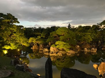 NAKED meets 二条城 2025 観月に投稿された画像（2023/8/20）