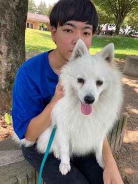 世界の名犬牧場に投稿された画像（2023/8/20）