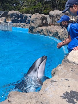 鴨川シーワールドに投稿された画像（2023/8/20）