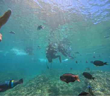 武藤潜水に投稿された画像（2023/8/20）