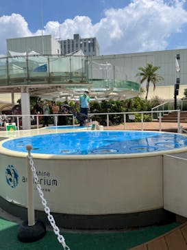 サンシャイン水族館に投稿された画像（2023/8/20）