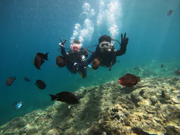 武藤潜水に投稿された画像（2023/8/20）