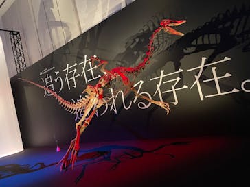 DinoScience 恐竜科学博 2023@TOKYO MIDTOWNに投稿された画像（2023/8/20）
