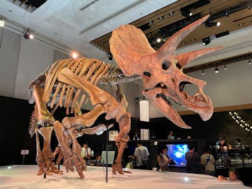 DinoScience 恐竜科学博 2023@TOKYO MIDTOWNに投稿された画像（2023/8/20）