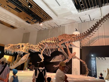 DinoScience 恐竜科学博 2023@TOKYO MIDTOWNに投稿された画像（2023/8/20）