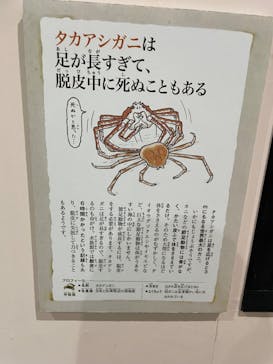 特別展「ざんねんないきもの事典」に投稿された画像（2023/8/20）