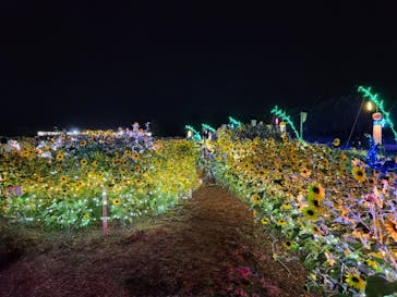 せんだい農業園芸センター　みどりの杜に投稿された画像（2023/8/20）