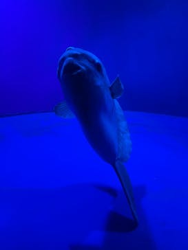 サンシャイン水族館に投稿された画像（2023/8/20）