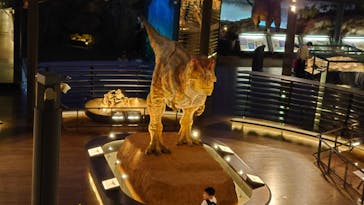 福井県立恐竜博物館に投稿された画像（2023/8/20）