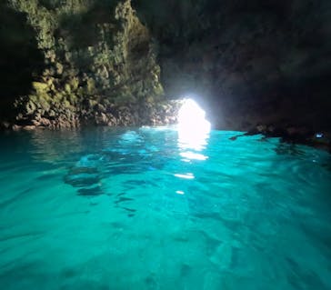 沖縄マリンサービス碧に投稿された画像（2023/8/20）