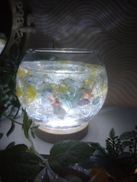 ずこうしつ〜sugamo〜に投稿された画像（2023/8/20）