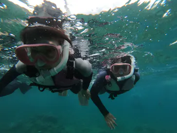 武藤潜水に投稿された画像（2023/8/20）