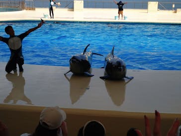 マリンワールド海の中道に投稿された画像（2023/8/20）