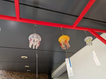 京都水族館に投稿された画像（2023/8/20）