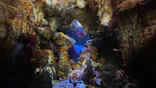 サンシャイン水族館に投稿された画像（2023/8/20）