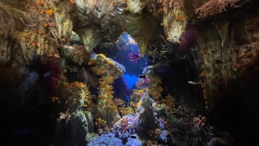 サンシャイン水族館に投稿された画像（2023/8/20）