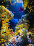 サンシャイン水族館に投稿された画像（2023/8/20）