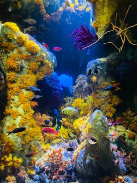 サンシャイン水族館に投稿された画像（2023/8/20）