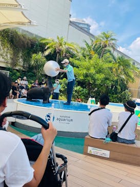 サンシャイン水族館に投稿された画像（2023/8/20）