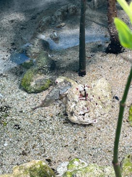 サンシャイン水族館に投稿された画像（2023/8/20）