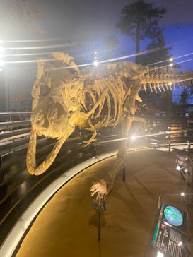 福井県立恐竜博物館に投稿された画像（2023/8/20）