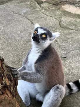 神戸どうぶつ王国に投稿された画像（2023/8/20）