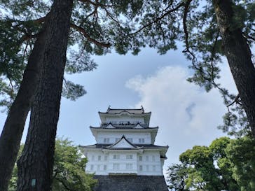 小田原城に投稿された画像（2023/8/20）