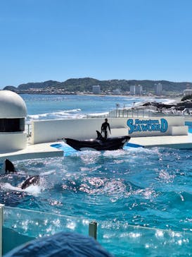 鴨川シーワールドに投稿された画像（2023/8/20）