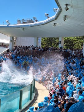 鴨川シーワールドに投稿された画像（2023/8/20）