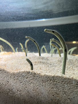 AOAO SAPPOROに投稿された画像（2023/8/20）