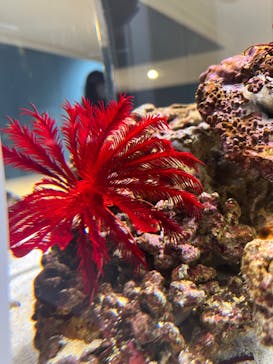 AOAO SAPPOROに投稿された画像（2023/8/20）