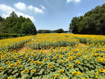 成田ゆめ牧場に投稿された画像（2023/8/20）