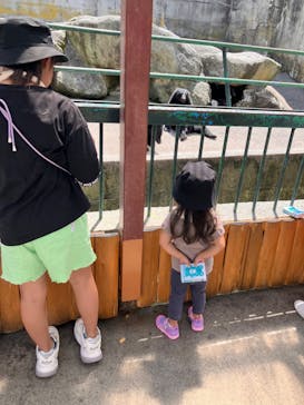 奥飛騨クマ牧場に投稿された画像（2023/8/20）